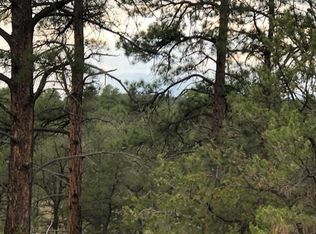 522 Owens Ln, Cotopaxi, CO 81223