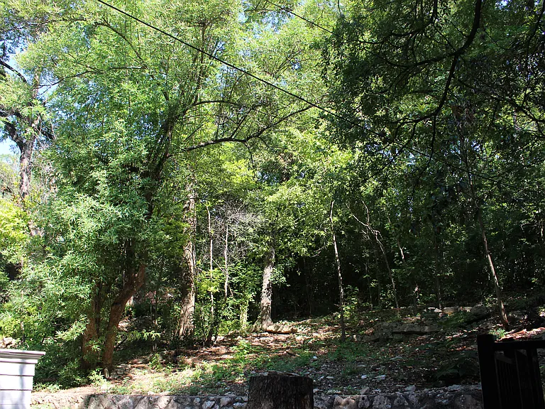 2309 Shoal Creek Blvd — Photo 33