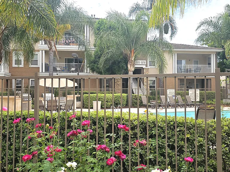 31359 Taylor Ln — Photo 30