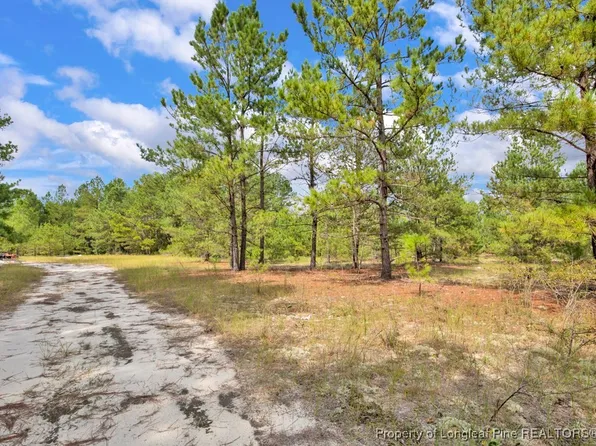 2B McKoy Town Rd, Cameron, NC 28326