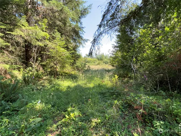 3 E Wild Grape Way, Grapeview, WA 98546