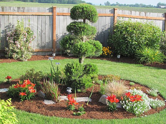 Scottish pine garden