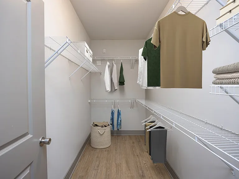 Spacious walk-in closet