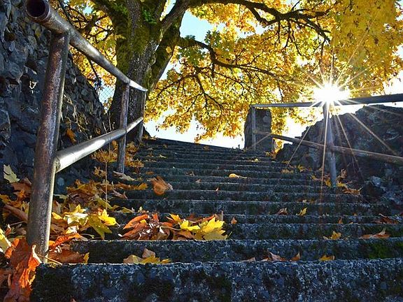 Your walk to the River