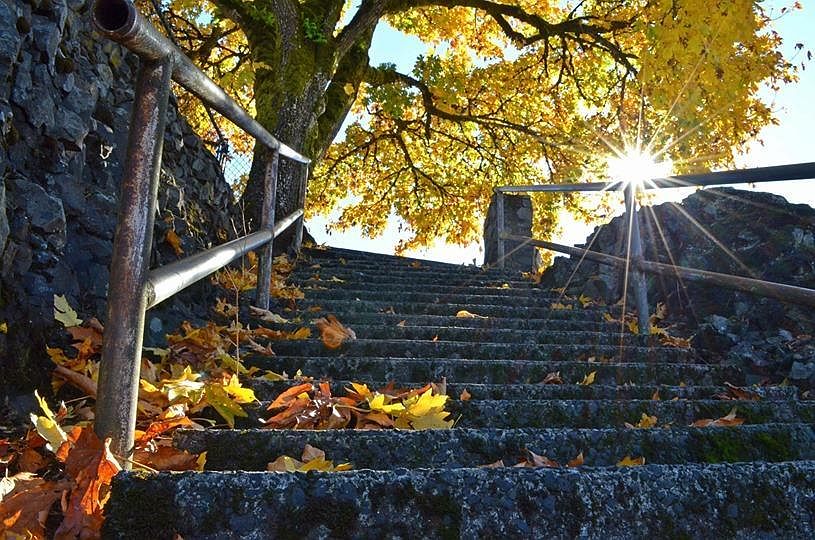 Your walk to the River