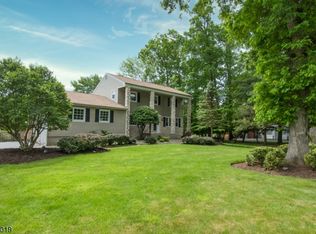 18 Beaver Dam Rd, Randolph, NJ 07869