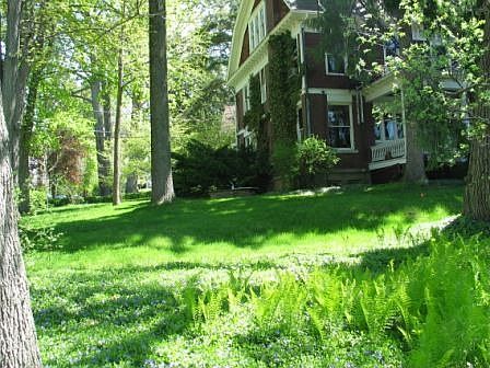 North Side Yard