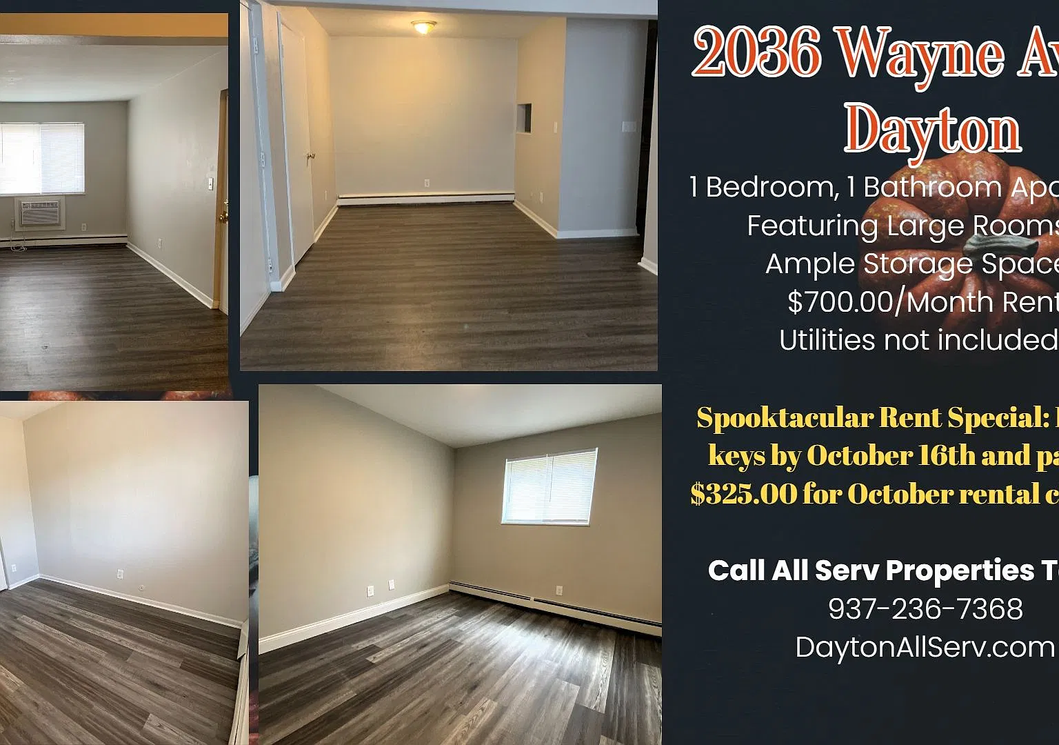 Spacious 1 Bedroom Apartment Available! — Photo 4