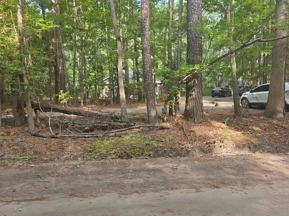 88 Selina Dr, Richmond Hill, GA 31324