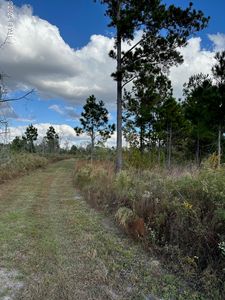 0 Little Zion Rd, Sneads, FL, 32460