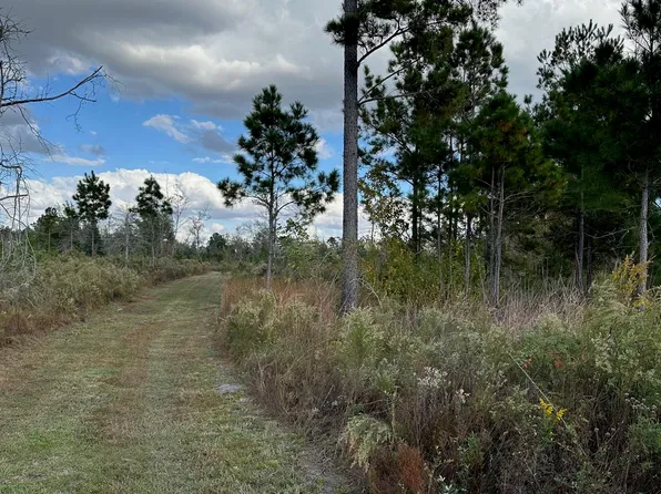 0 Little Zion Rd, Sneads, FL 32460