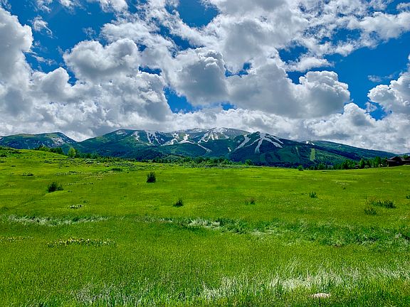 View from back patio