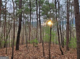 LOT 1665 Hunter Dr, Talking Rock, GA 30175