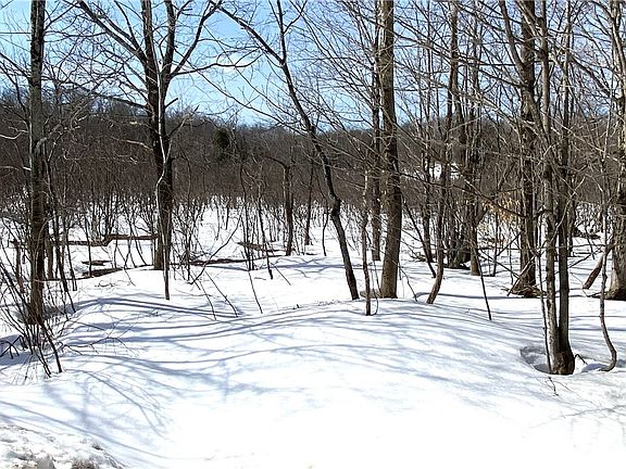 2nd image of Town Line Rd Lot 44