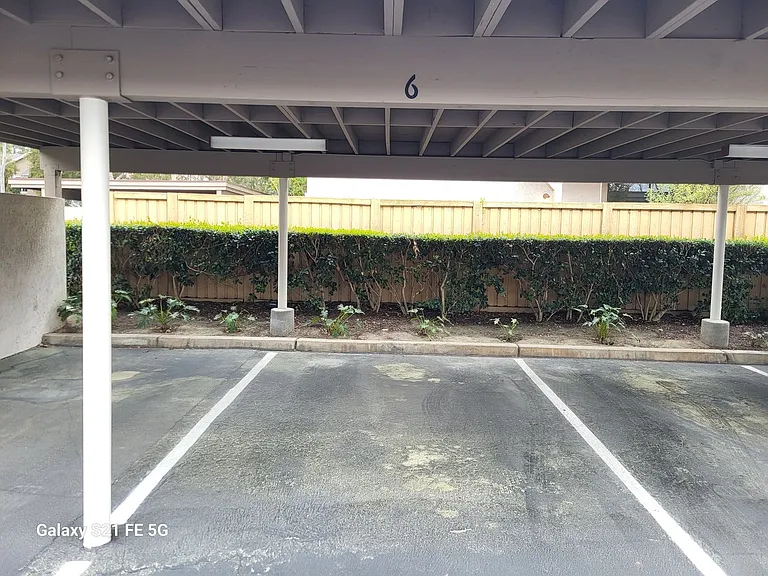 6 Windjammer — Photo 18