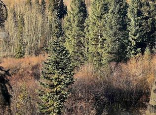 530 Elk Run, Telluride, CO 81435