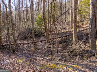 0 Satsuma Ct #694, Ellijay, GA 30540