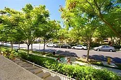 3 bed, 1237 sqft, $3,430 — Photo 4