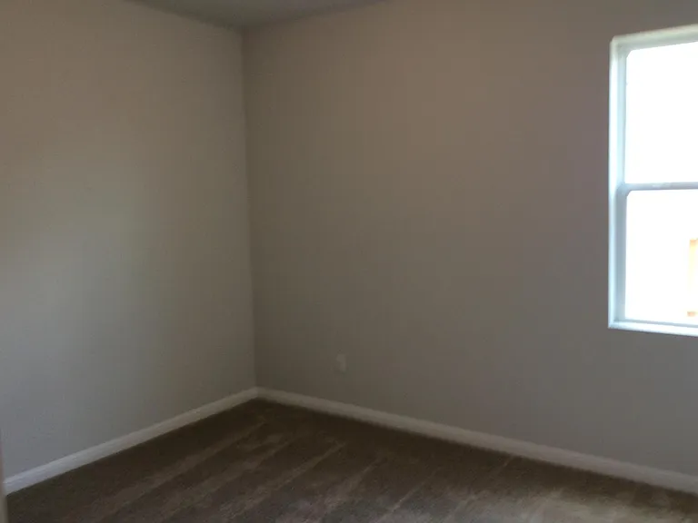 104 Cold Springs Loop — Photo 15