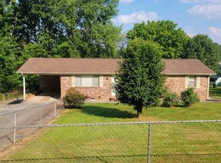 347 Chestnut St, Spring City, TN 37381