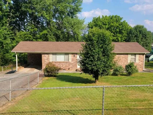 347 Chestnut St, Spring City, TN 37381