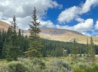 0 Cliffs Way, Alma, CO 80420