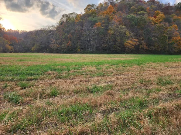 0 Pine Lick Rd Lot 4, Whitleyville, TN 38588