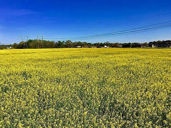 17500 E Limestone Rd, Athens, AL 35613