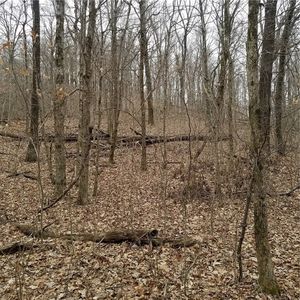 23 89 Ac Cres #4099, Elkins, AR, 72727