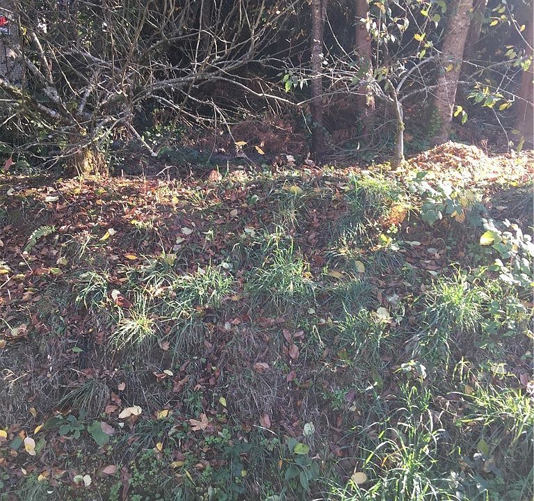 1st image of 21890 Apollo Dr NE