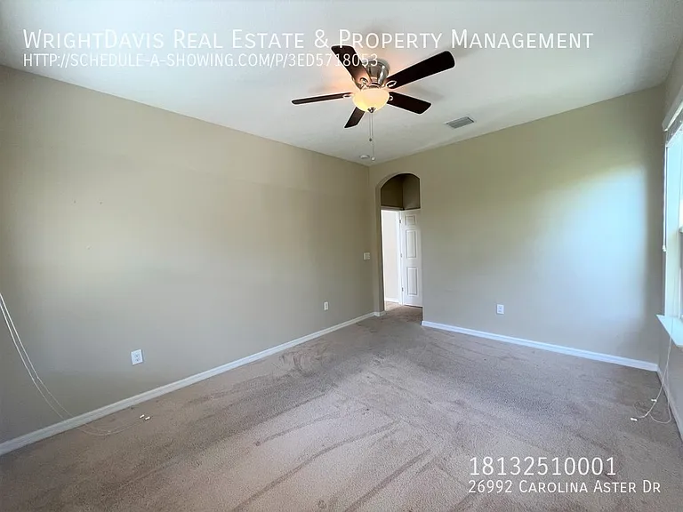26992 Carolina Aster Dr — Photo 23