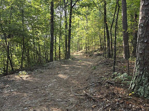 5th image of Forest Service Rd