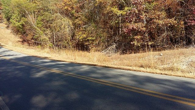 1st image of 281 Little River Trl