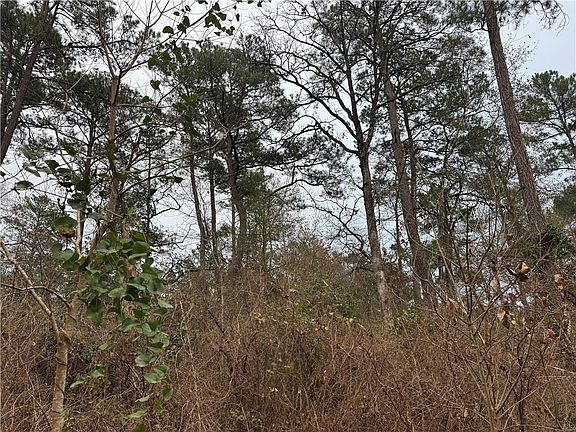 5th image of 13475 White Oak Dr