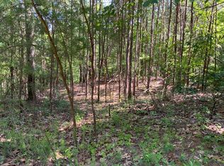 1041 Astro Cts, Ranger, GA 30734