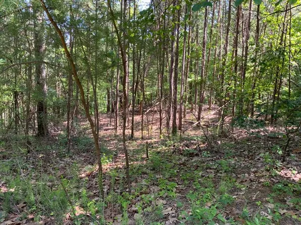 1041 Astro Cts, Ranger, GA 30734