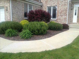 3rd image of 12209 Leighton Dr