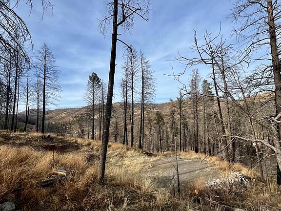 5th image of 116 Bluebelle Ln