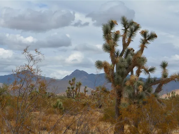 Parcel 2652 Diamondback Road, Yucca, AZ 86438