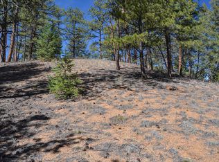 9891 Overlook Rd, Sedalia, CO 80135