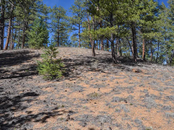 9891 Overlook Rd, Sedalia, CO 80135