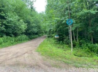 Forest Rd, Skandia, MI 49885