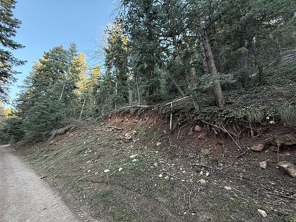 2nd image of 38 Pine Creek Rd