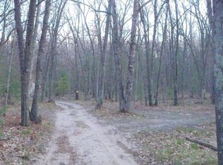 Wayne Ave, Pentwater, MI 49449