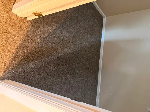 New carpet photo