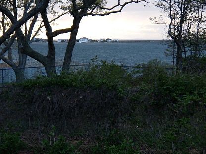 4th image of 55 Shrubland Road