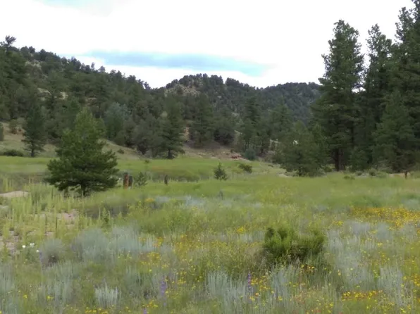 Bear Run, Cotopaxi, CO 81223