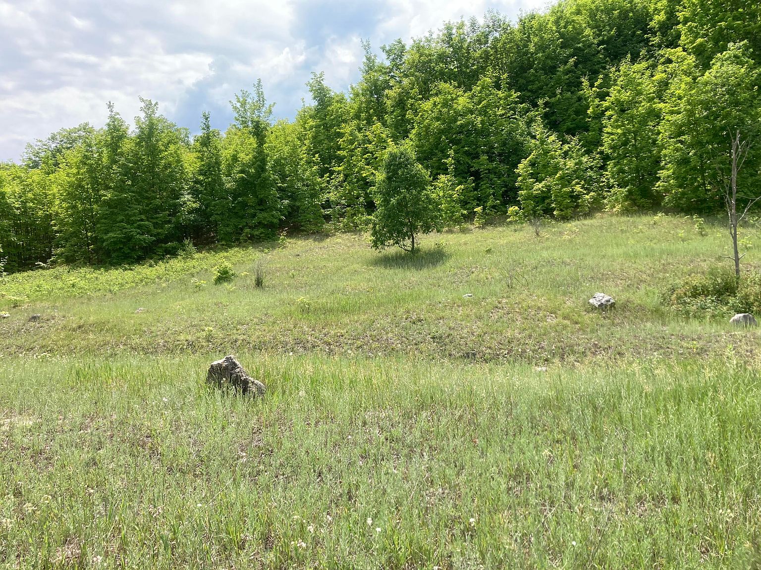 Hillview Trl, Elmira, MI 49730 MLS 201824990 Zillow