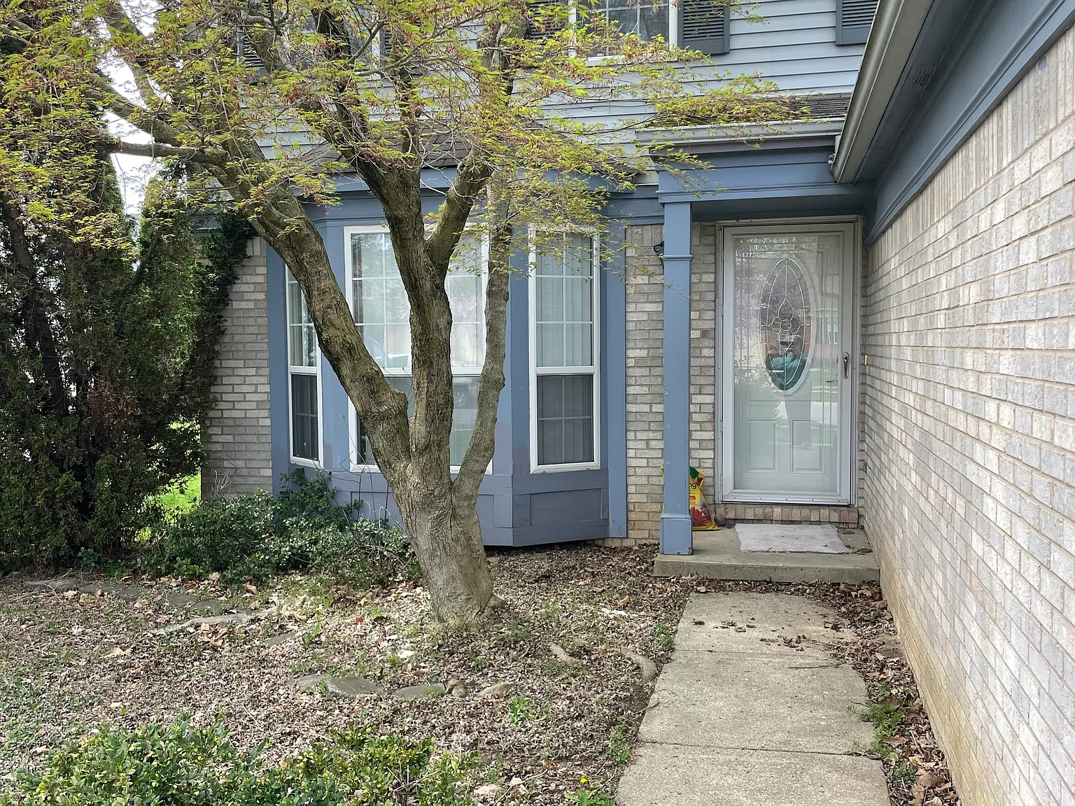 3 bed, 1476 sqft, $2,700 — Photo 2