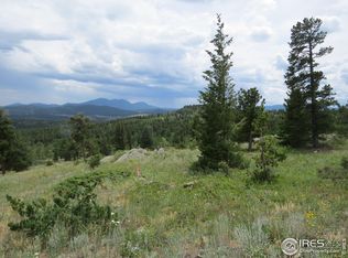 0 Peak to Peak Hwy, Nederland, CO 80466